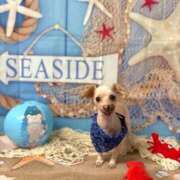 ヒメ日記 2025/08/06 16:46 投稿 さきの 熟女家 十三店