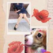 ヒメ日記 2025/11/04 21:55 投稿 さきの 熟女家 十三店