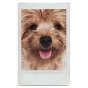 ヒメ日記 2025/11/28 20:11 投稿 さきの 熟女家 十三店