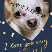 ヒメ日記 2025/12/20 22:34 投稿 さきの 熟女家 十三店