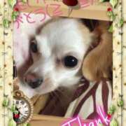 ヒメ日記 2025/12/22 20:21 投稿 さきの 熟女家 十三店