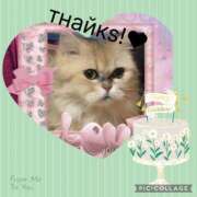 ヒメ日記 2025/12/28 22:43 投稿 さきの 熟女家 十三店