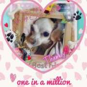 ヒメ日記 2025/12/29 21:56 投稿 さきの 熟女家 十三店