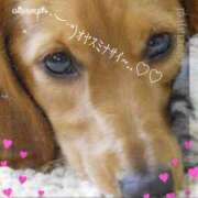 ヒメ日記 2026/01/09 20:06 投稿 さきの 熟女家 十三店