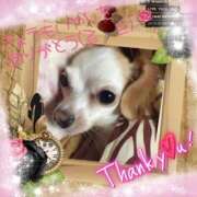 ヒメ日記 2026/01/17 20:35 投稿 さきの 熟女家 十三店