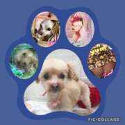 ヒメ日記 2026/02/09 18:53 投稿 さきの 熟女家 十三店