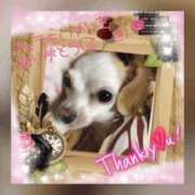 ヒメ日記 2026/02/12 20:15 投稿 さきの 熟女家 十三店