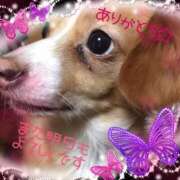 ヒメ日記 2026/02/13 20:25 投稿 さきの 熟女家 十三店