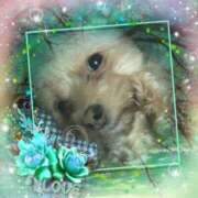 ヒメ日記 2026/02/16 20:30 投稿 さきの 熟女家 十三店