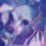 ヒメ日記 2026/02/23 18:43 投稿 さきの 熟女家 十三店