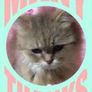 ヒメ日記 2026/03/04 20:08 投稿 さきの 熟女家 十三店