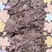 ヒメ日記 2026/03/19 12:31 投稿 さきの 熟女家 十三店