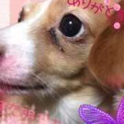 ヒメ日記 2026/03/25 19:24 投稿 さきの 熟女家 十三店