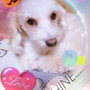 ヒメ日記 2026/03/26 22:37 投稿 さきの 熟女家 十三店