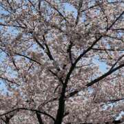 ヒメ日記 2026/03/29 14:04 投稿 さきの 熟女家 十三店