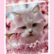 ヒメ日記 2026/03/31 10:04 投稿 さきの 熟女家 十三店