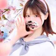 ヒメ日記 2025/03/25 18:08 投稿 シュリ バニーコレクション千葉栄町店