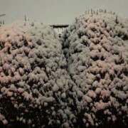 ヒメ日記 2025/03/07 09:21 投稿 あいこ フロンティア