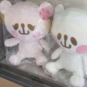 ヒメ日記 2025/07/20 09:12 投稿 あいこ フロンティア