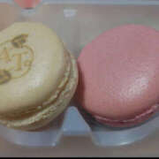 ヒメ日記 2025/08/16 10:03 投稿 あいこ フロンティア