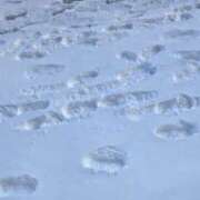 ヒメ日記 2026/02/14 09:03 投稿 あいこ フロンティア