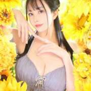 ヒメ日記 2026/07/01 09:52 投稿 星しずか☆ CLUB PIAA