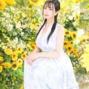 ヒメ日記 2026/07/17 09:12 投稿 星しずか☆ CLUB PIAA