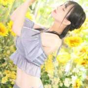 ヒメ日記 2026/08/01 12:22 投稿 星しずか☆ CLUB PIAA