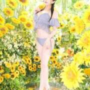 ヒメ日記 2026/08/01 19:13 投稿 星しずか☆ CLUB PIAA
