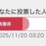 ヒメ日記 2025/11/20 03:44 投稿 SIA GINGIRA☆TOKYO～ギンギラ東京～