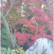 ヒメ日記 2025/12/18 08:26 投稿 みや One More 奥様　西船橋店