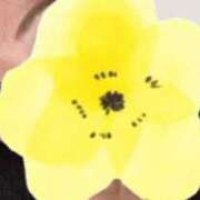 ヒメ日記 2025/03/09 22:16 投稿 りよ 木更津人妻花壇