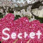 ヒメ日記 2026/04/05 21:08 投稿 りよ 木更津人妻花壇