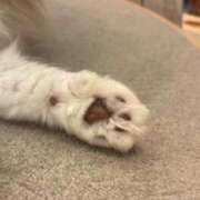 ヒメ日記 2025/04/22 19:59 投稿 みゆ 激安ピーチ