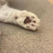 ヒメ日記 2025/07/29 16:49 投稿 みゆ 激安ピーチ