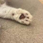 ヒメ日記 2025/08/27 21:59 投稿 みゆ 激安ピーチ