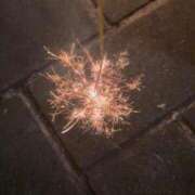 ヒメ日記 2025/08/29 23:29 投稿 みゆ 激安ピーチ