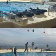 ヒメ日記 2025/12/03 19:09 投稿 みゆ 激安ピーチ