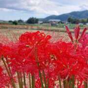 ヒメ日記 2024/10/09 07:50 投稿 いろは 横浜人妻セレブリティ（ユメオト）