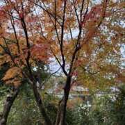 ヒメ日記 2024/12/15 00:54 投稿 いろは 横浜人妻セレブリティ（ユメオト）