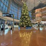 ヒメ日記 2024/12/23 01:13 投稿 いろは 横浜人妻セレブリティ（ユメオト）