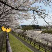 ヒメ日記 2025/04/01 08:30 投稿 いろは 横浜人妻セレブリティ（ユメオト）