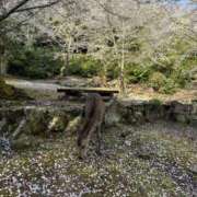 ヒメ日記 2025/04/07 08:30 投稿 いろは 横浜人妻セレブリティ（ユメオト）