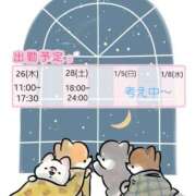 ヒメ日記 2024/12/26 11:38 投稿 るる 敏感！逆エステ錦糸町