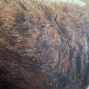 ヒメ日記 2025/09/07 23:01 投稿 あやめ 熟女家 堺東店