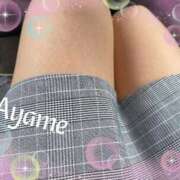 ヒメ日記 2025/10/07 14:28 投稿 あやめ 熟女家 堺東店