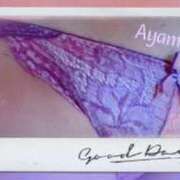 ヒメ日記 2026/01/08 23:57 投稿 あやめ 熟女家 堺東店