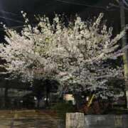 ヒメ日記 2026/04/06 22:47 投稿 あやめ 熟女家 堺東店