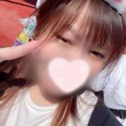 ヒメ日記 2025/09/15 02:32 投稿 ひいろ 横浜・関内サンキュー