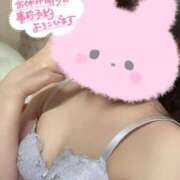 ヒメ日記 2025/12/02 10:30 投稿 さあや 成田人妻花壇